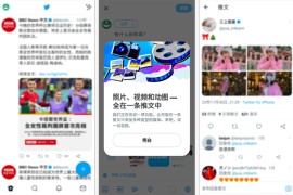 Twitter X v10.95.1 iOS绿化版