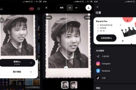 模糊人脸照片增强Remini v2.10.29 iOS绿化版
