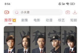 新幕启星河 v4.1.9 安卓绿化版