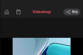 Videoleap v2.68.2 iOS绿化版