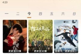 闪映剧场 可看4k v1.9.0 安卓绿化版
