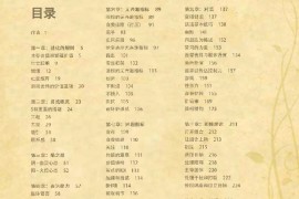 谜男启示录