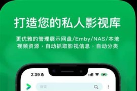 VidHub v1.7.23 iOS绿化版