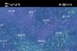 Windy小工具 v45.0.6 安卓绿化版
